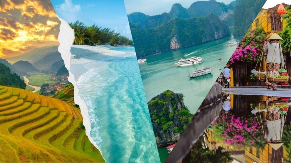 Công Ty TNHH Thương Mại Và Dịch Vụ Du Lịch Hà Trang: Đơn vị du lịch uy tín tại Hồ Chí Minh
